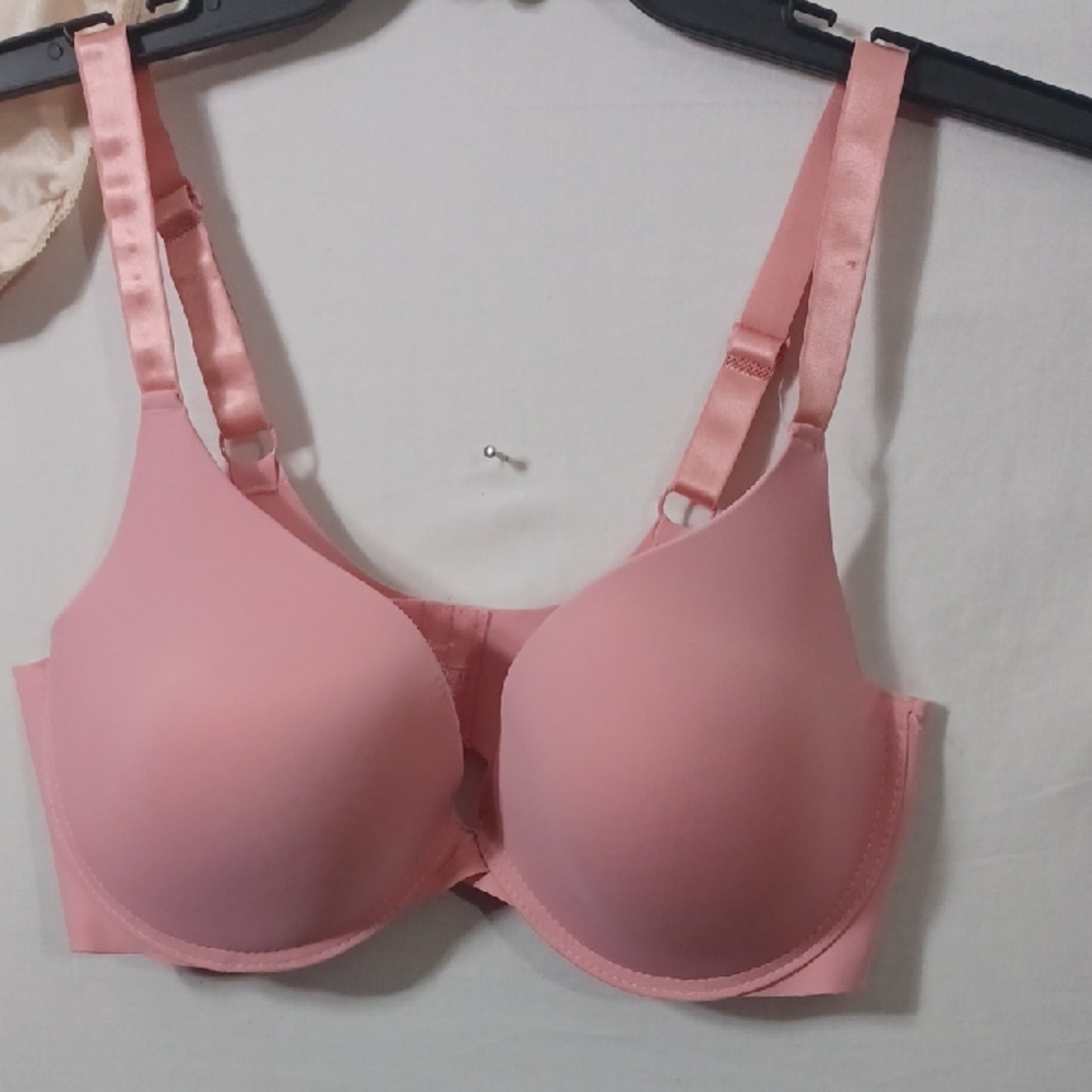 Kathy Ireland Soft Pink Bra Size 40D